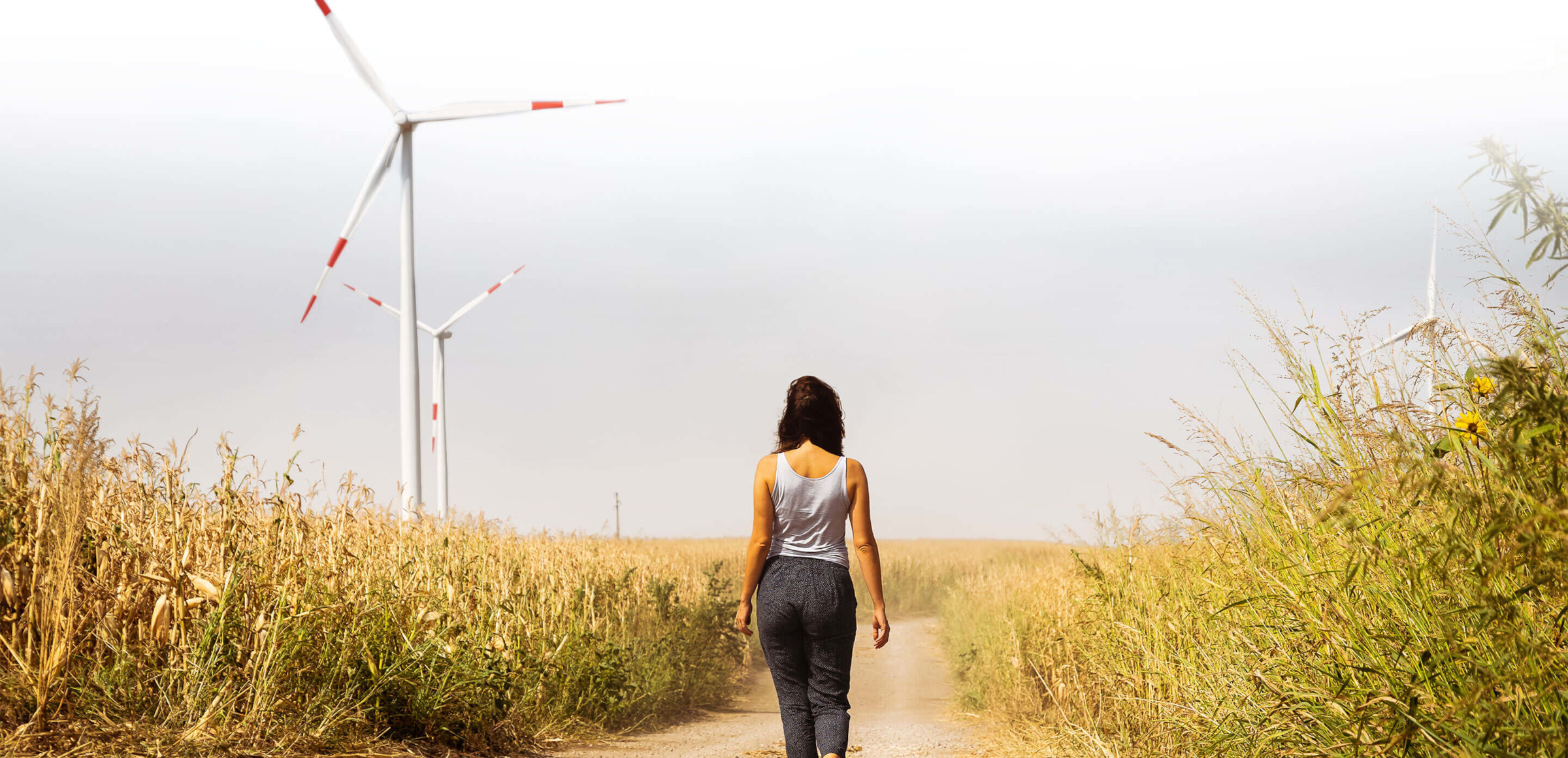 transizione-energetica-thumb_2400x1160