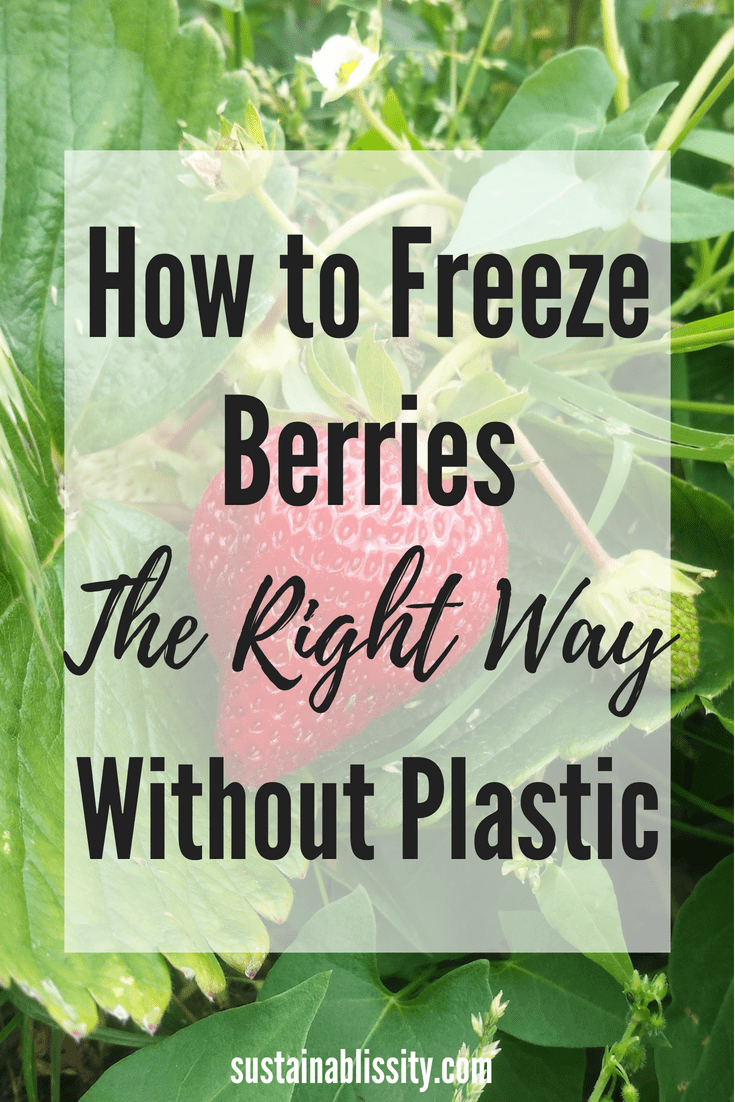 How To Freeze Berries Without Plastic - Sustainablissity